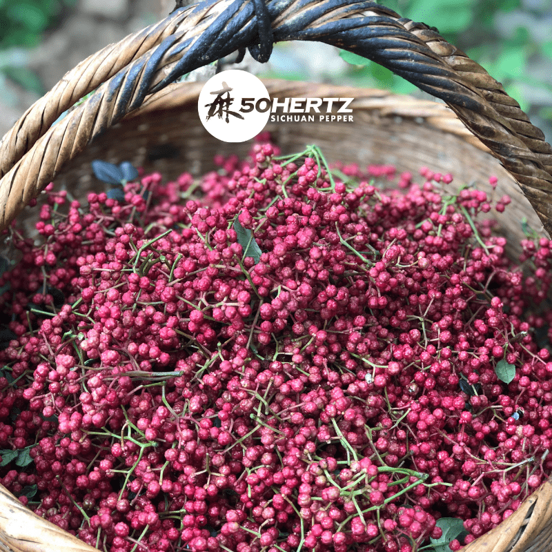 50Hertz Sichuan Pepper Red Sichuan Pepper Oil