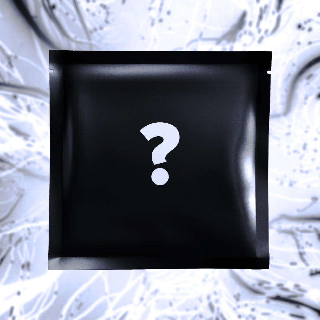 Vite Ramen v3.1 Mystery Pack Batch 4 - Subscription